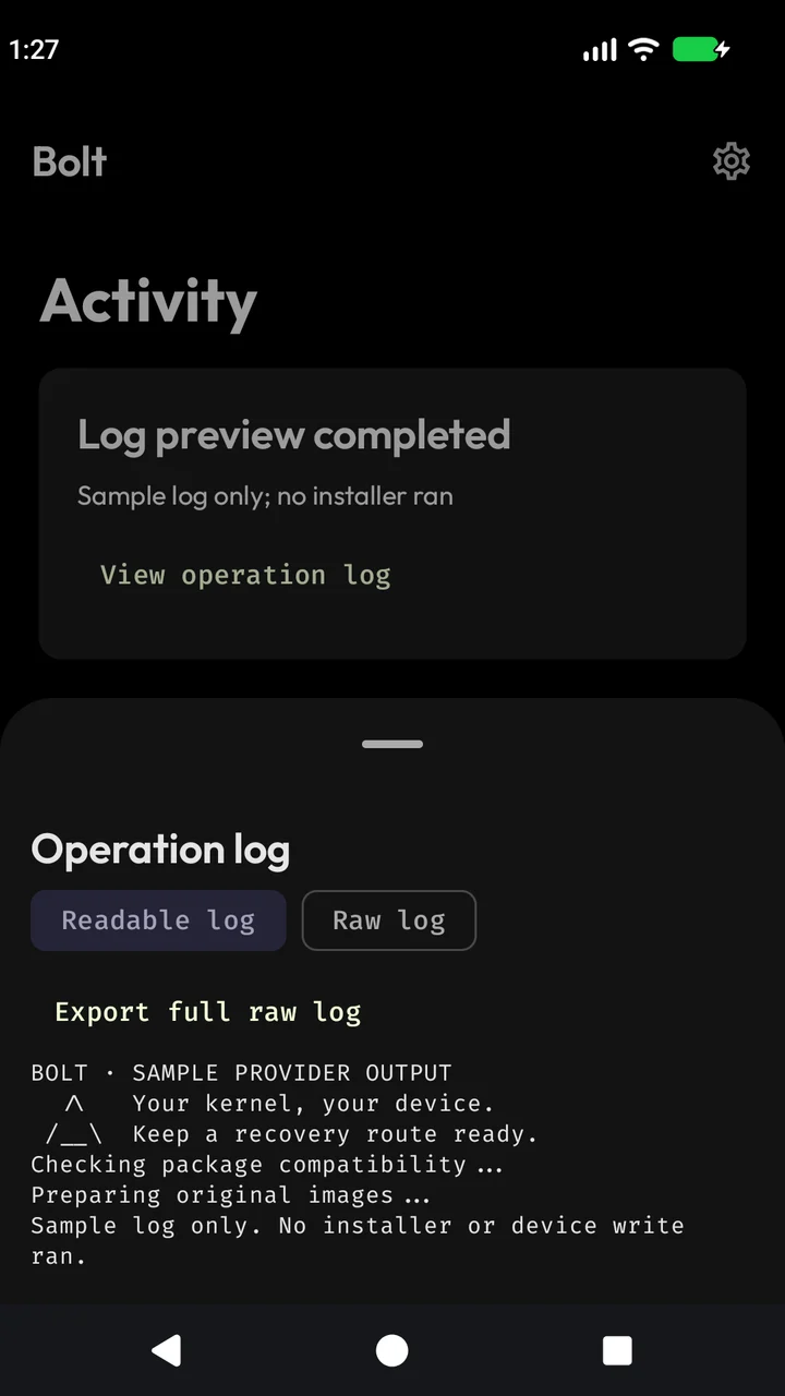Bolt readable operation log with clearly labeled sample provider output and raw log export.